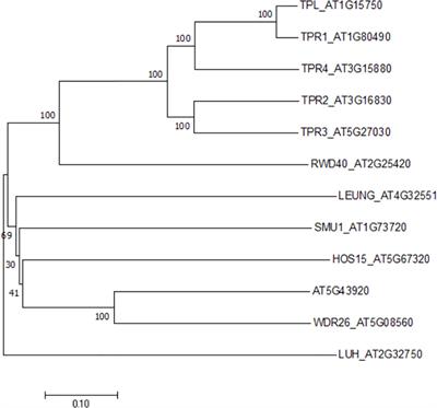 The role of corepressor HOS15-mediated epigenetic regulation of flowering